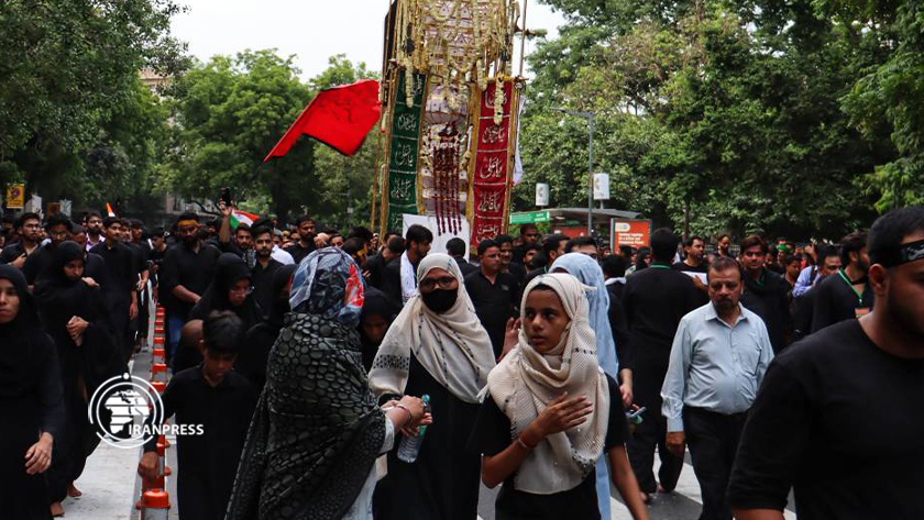 Magnificent presence of Indian Shiites in Arbaeen procession