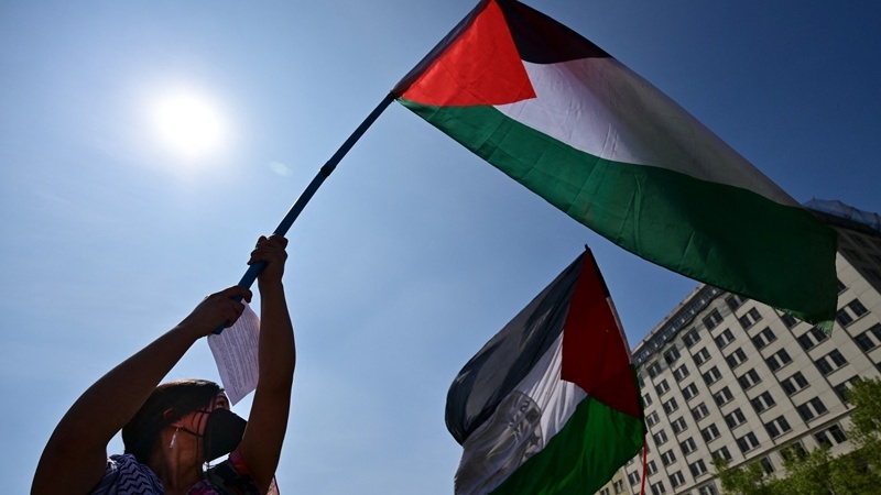  Демонстрация солидарности с народом Палестины в Гарвардском университете