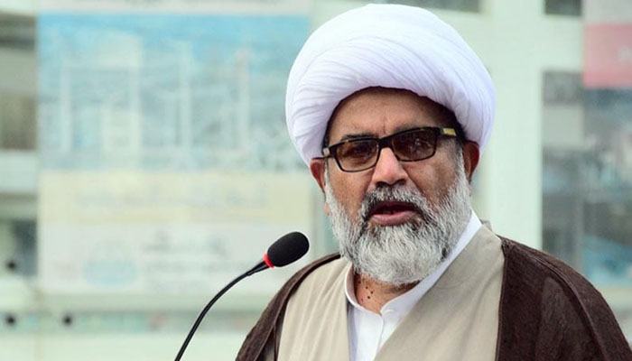 Pakistani Shia Senator hails "True Promise" operation