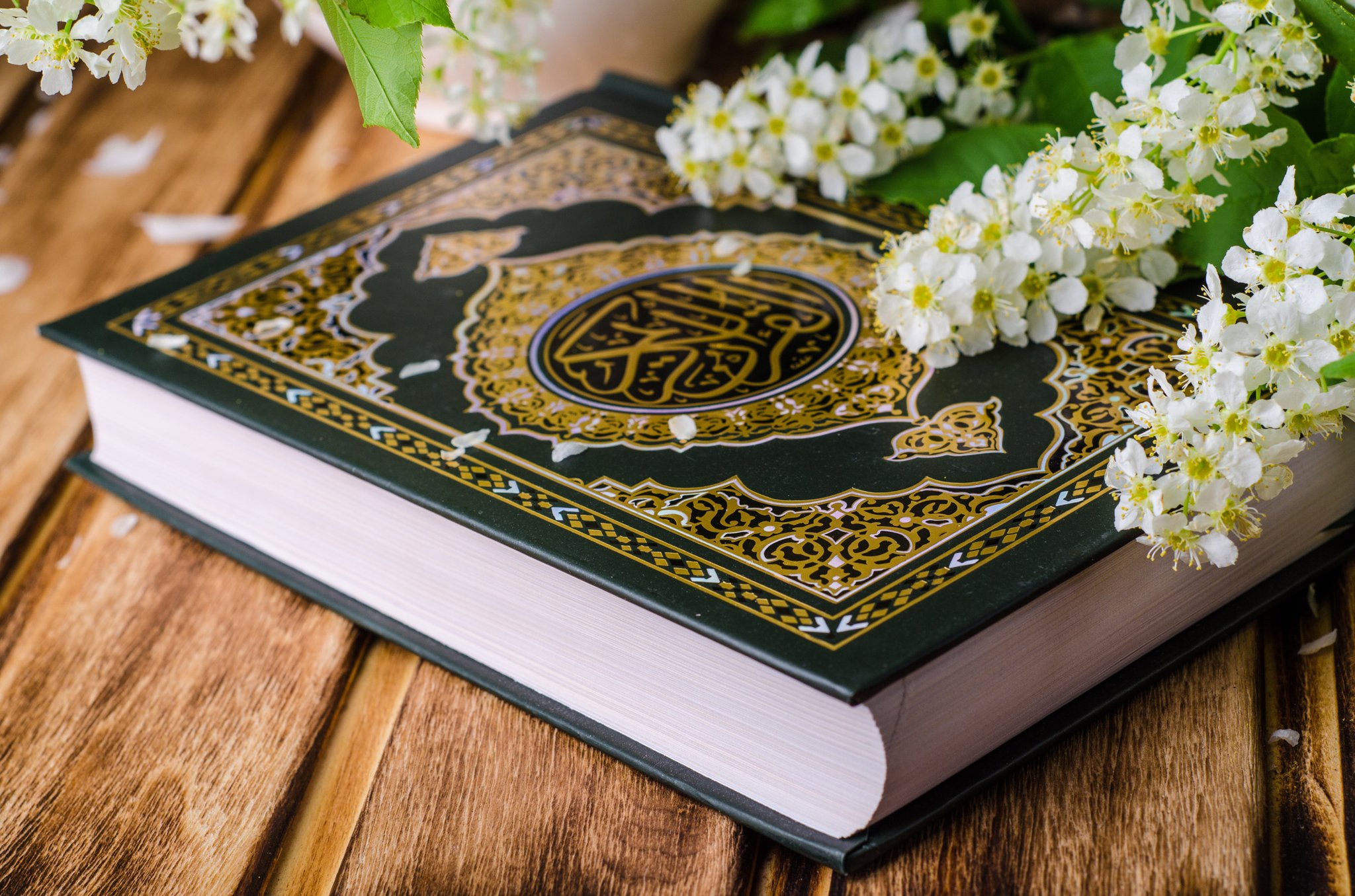 القرآن الكريم يقدم حلول عملية لتأطير مشاعر الإنسان