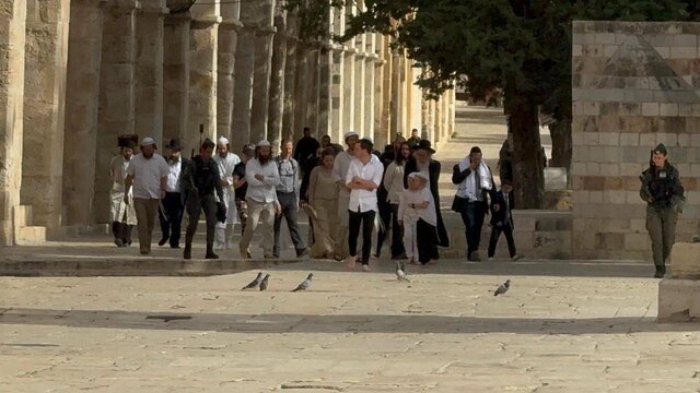犹太复国主义分子再次闯入阿克萨清真寺 犹太复国主义分子再次闯入阿克萨清真寺
