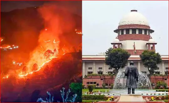 सुप्रीम कोर्ट पहुंचा जंगल में आग का मामला, नेपाली समेत 7 गिरफ्तार