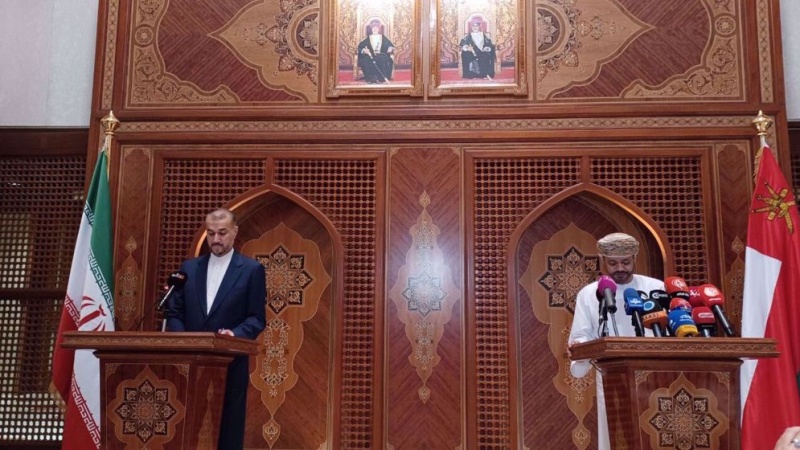 Amir-Abdollahian: Iran ist Insel der Stabilität in Westasien