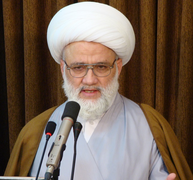 آية الله اليعقوبي يشيد بدور المفارز الطبية في خدمة زوار الأربعين