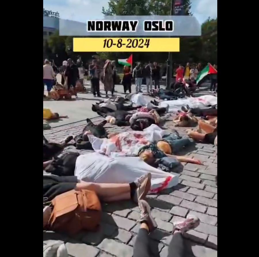 Video: Norwegian activists held a die-in vigil in Oslo denouncing Israeli massacres Gaza