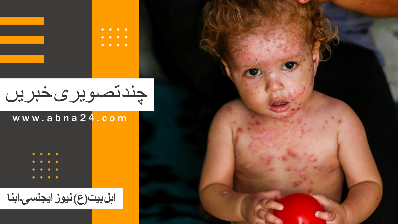 ویڈیو | ابنا خبر ایجنسی کی کچھ تصویری خبریں
