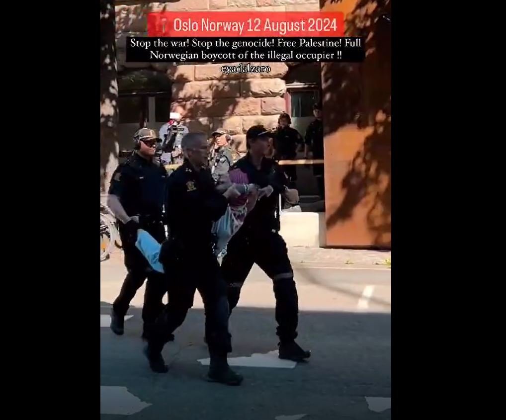 Video: Norwegian police disperse and arrest pro-Palestine demonstrators in Oslo