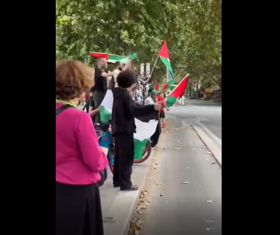 Video: Demonstrators in Paris, France denounce Israeli occupation's massacres in Gaza
