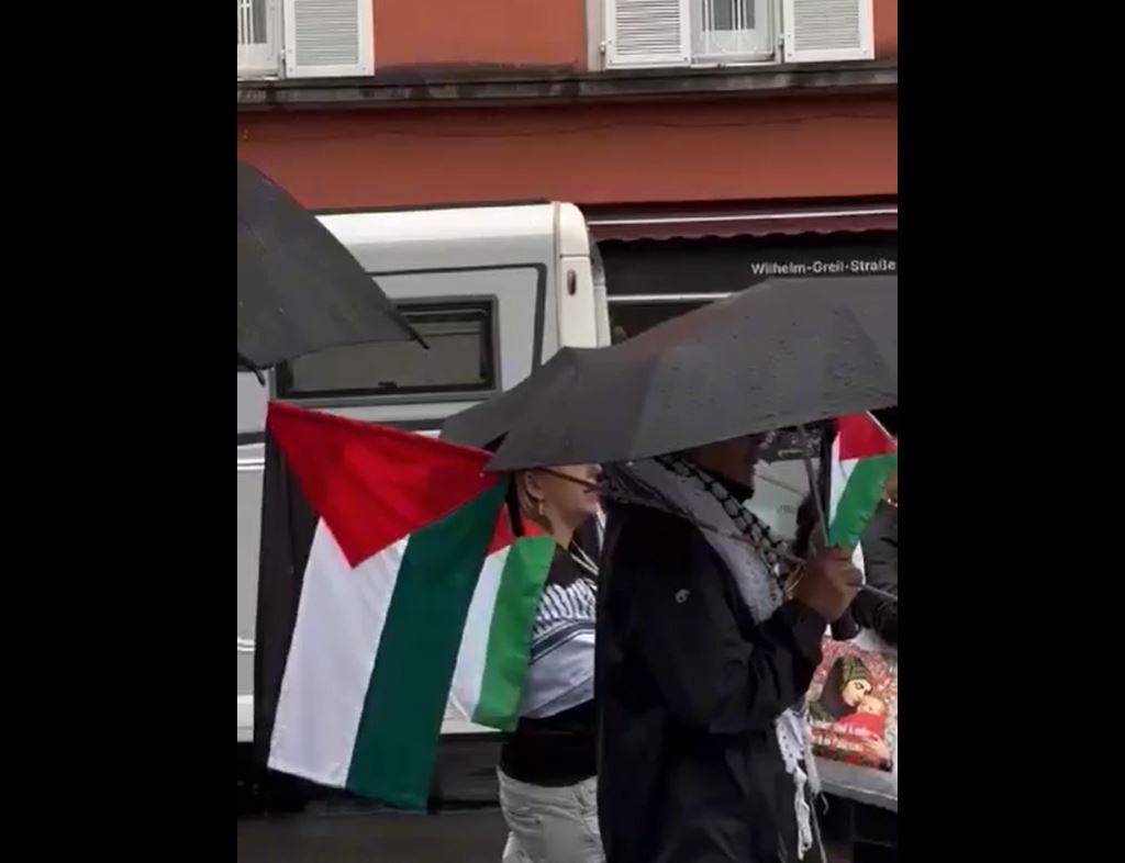 Video: Protestors marched in support of Palestine despite heavy rain in Innsbruck, Austria