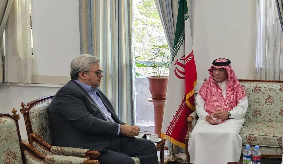 Two Iranian Hajj pilgrims to be released soon: Saudi envoy