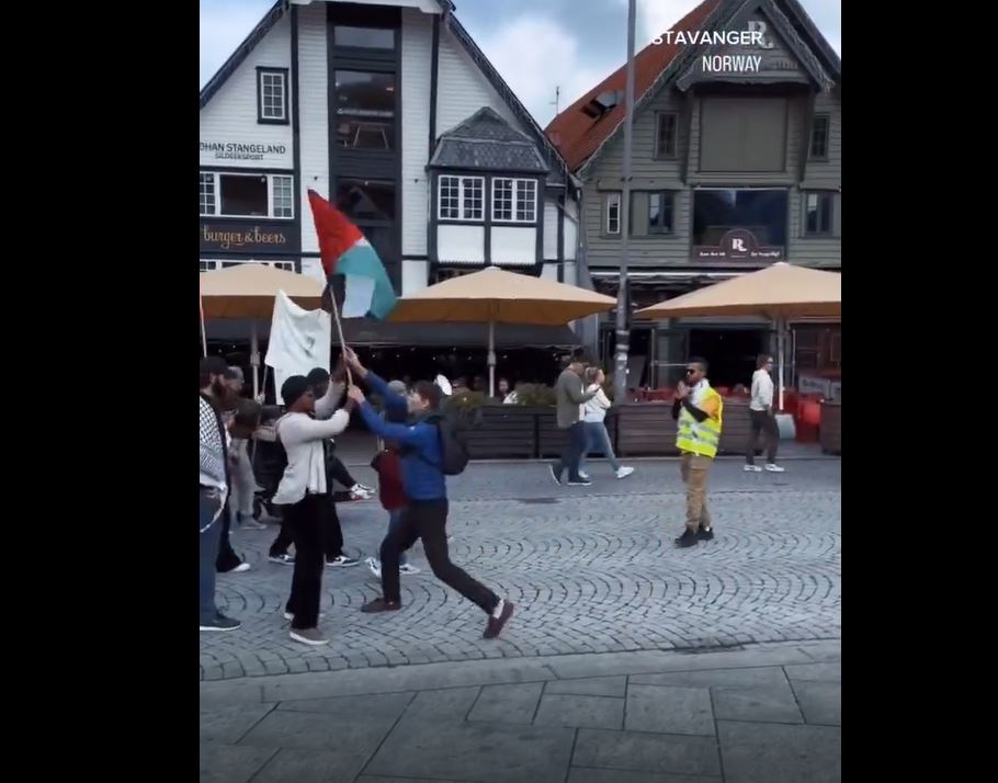Video: German Nazis attacks Pro Palestinians