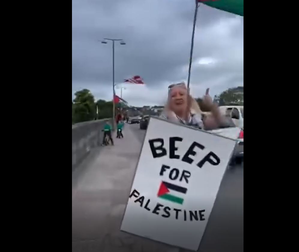 Video: Pro-Palestine activists staged a sit-in on main highway in Fermoy, Ireland 