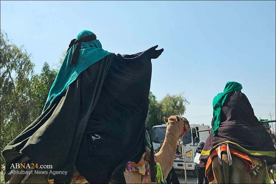  ریلز | کاروان نمادین اسرای کربلا در مسیر پیاده‌روی اربعین