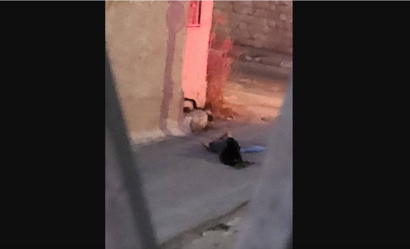 An elderly Palestinian killed in Jenin