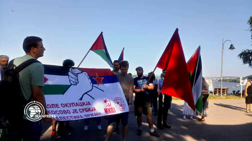 Pro-Palestinians rally held in Belgrade, Serbia