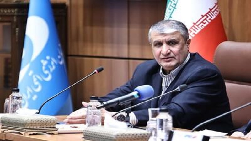 Эслами: Иран обладает интегрированным потенциалом в атомной отрасли