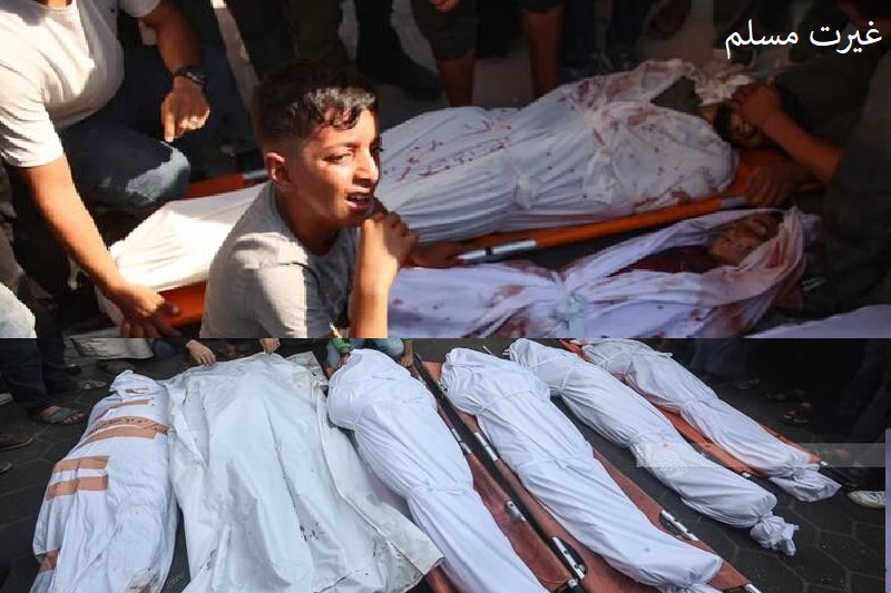 غزہ: مزید 40 فلسطینیوں کی شہادت/ شہداء کی تعداد 44 ہزار 875 ہوگئی
