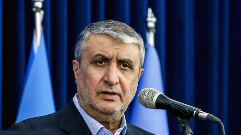  İslami: İran sulta düzenine tabi olamaz