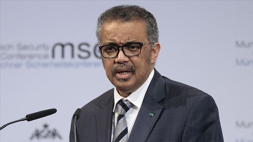 WHO chief calls for establishing ceasefire in Gaza Strip