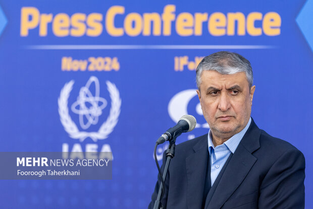  AEOI chief: Zionists render UN ineffectual as genocide continues apace