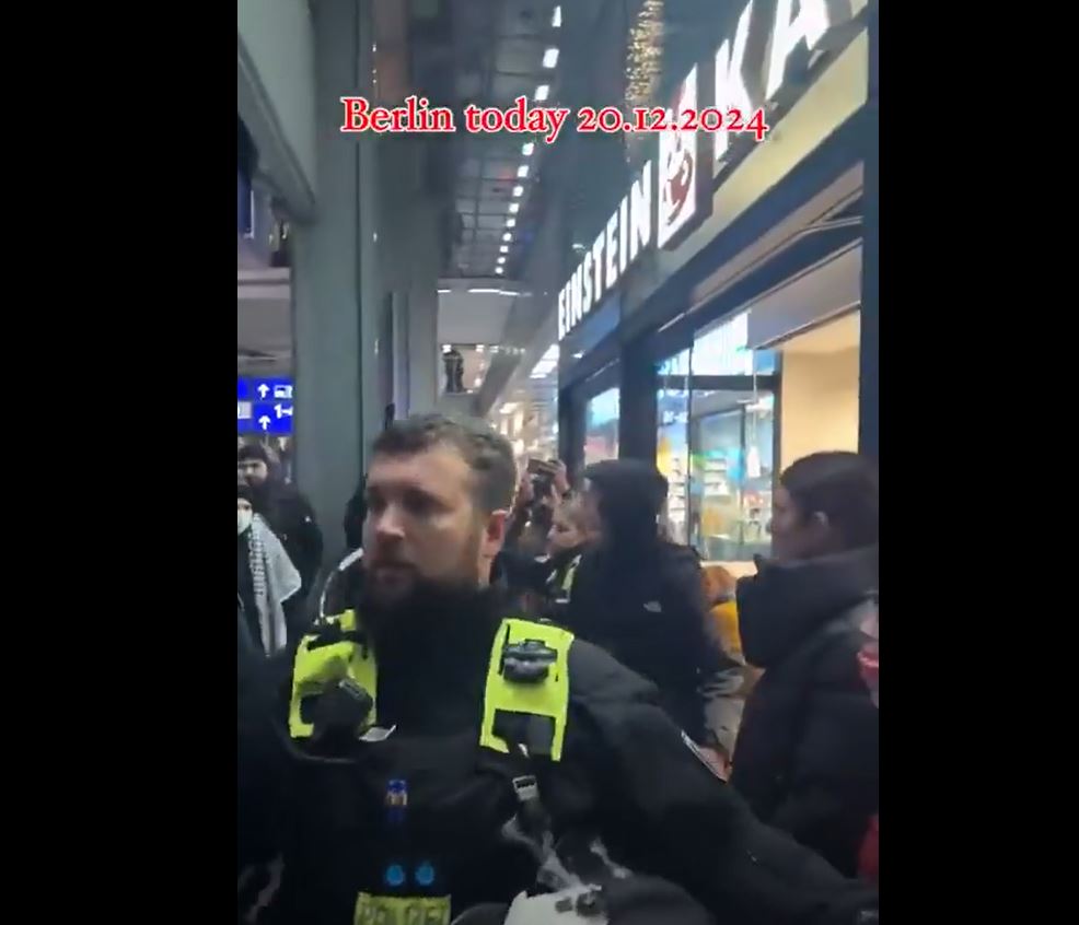 Video: German police assault pro-Palestine protesters gathered in Berlin central train station