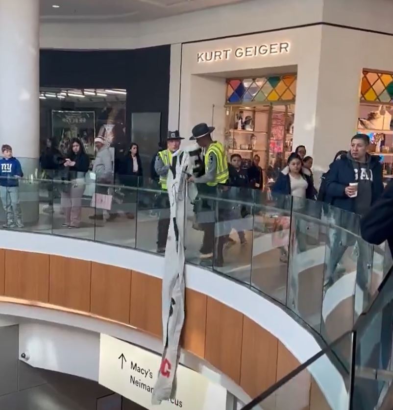 Video: Security removed a giant pro-Palestine banner at Roosevelt Field Mall in New York City