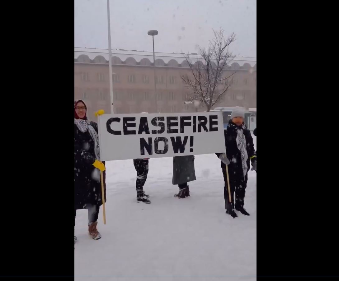 Video: Amid heavy snow and harsh weather, activists in Helsinki, Finland protest in solidarity with Palestine