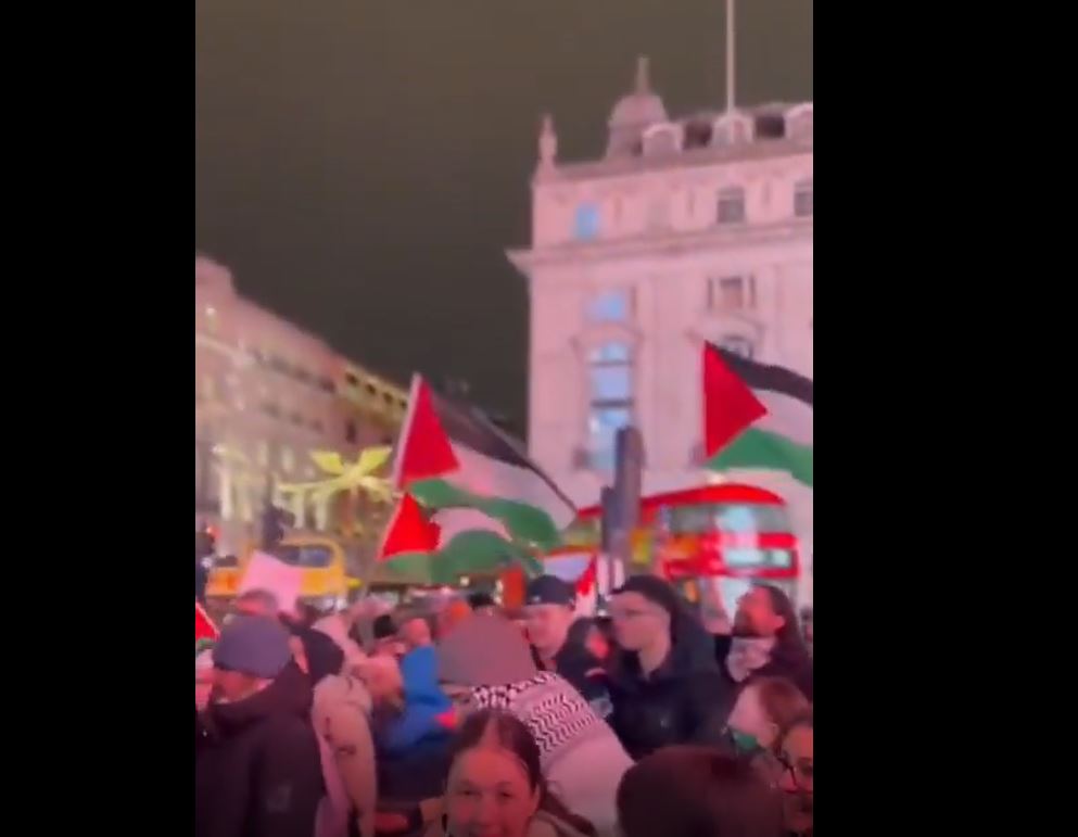 Video: Dozens of protesters gathered in London, to denounce ongoing Israeli genocide in Gaza