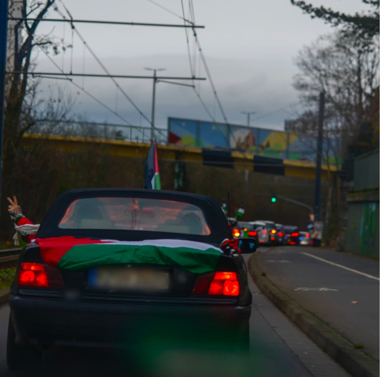 Photos: Pro-Palestine car rally in Mainz, Germany