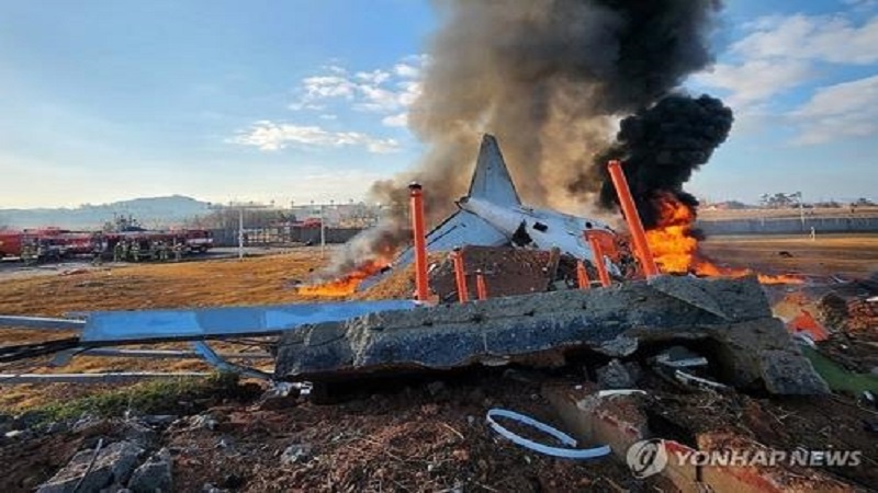  Güney Kore'de uçak kazası