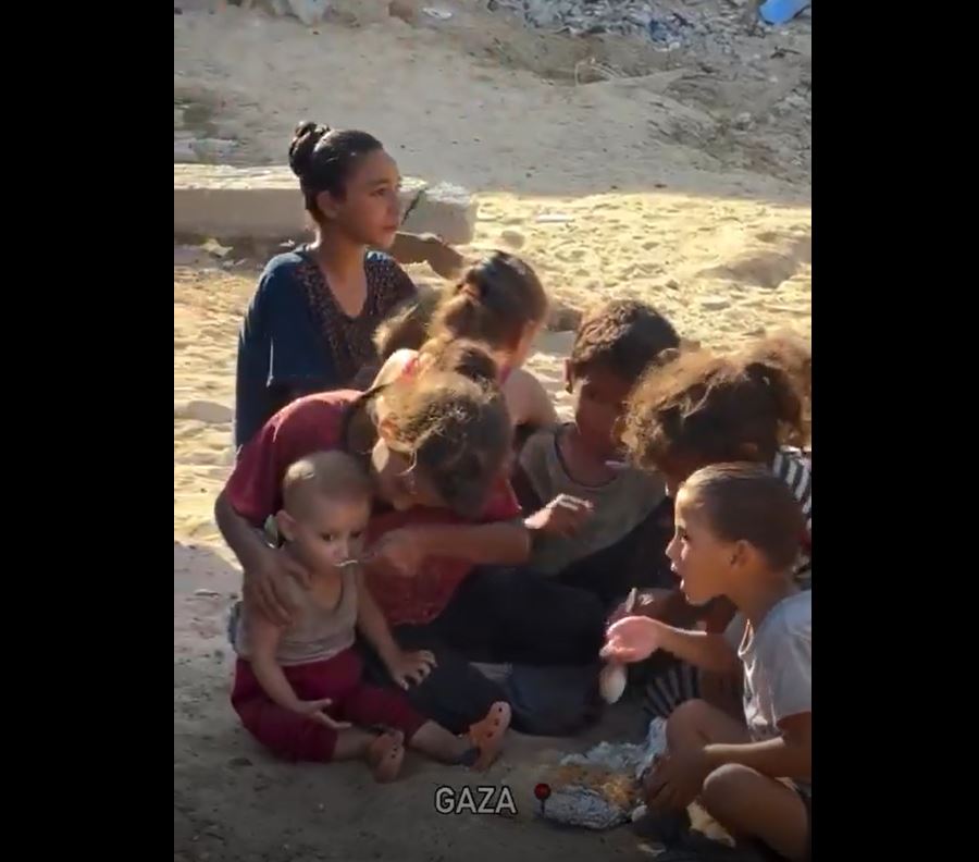 Video: In Gaza, a young Palestinian girl feeds her little brother as a group of children gathered around a meager meal