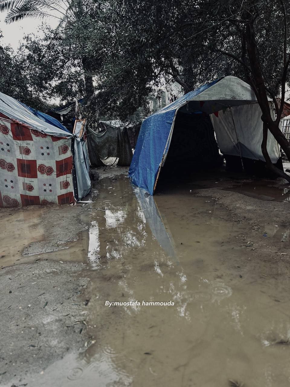 Video: Displaced people in Al-Mawasi, southern Gaza, enduring extremely tragic conditions as rainfall season sets in