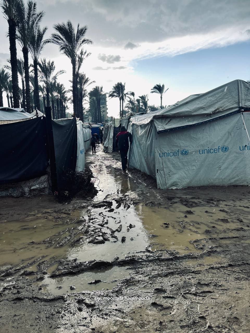 Video: Unbearable conditions in Gaza as heavy rains flood Palestinian displaced tents