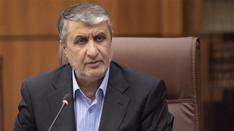 AEOI-Chef: IAEA stört nur den Iran