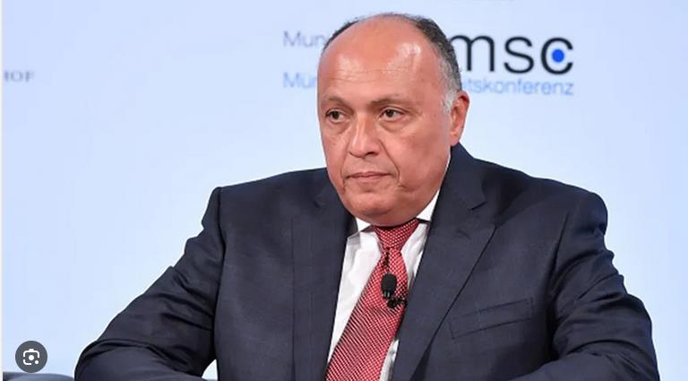 فيديو | وزير الخارجية المصرية سامح شكري: يجب محاسبة من عمل على تعزيز قوة حماس وتمويلها 