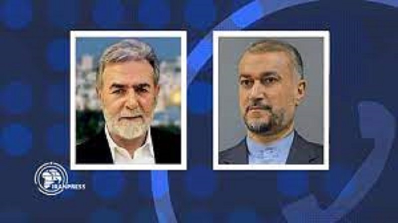 Таъкиди Амирабдуллоҳиён бар зарурати идомаи талошҳо барои таваққуфи ҷиноёти режими саҳюнистӣ дар Ғазза