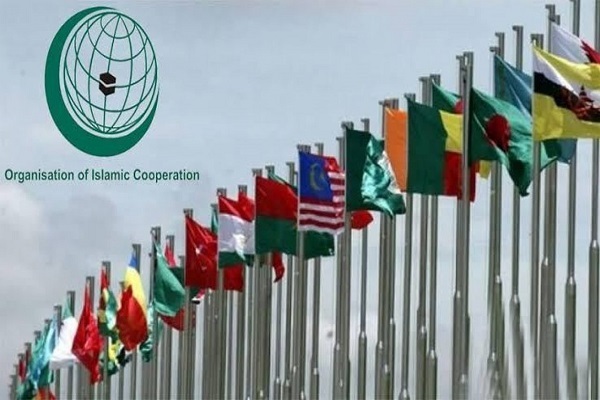  Organization of Islamic Cooperation slams US Veto on Gaza war