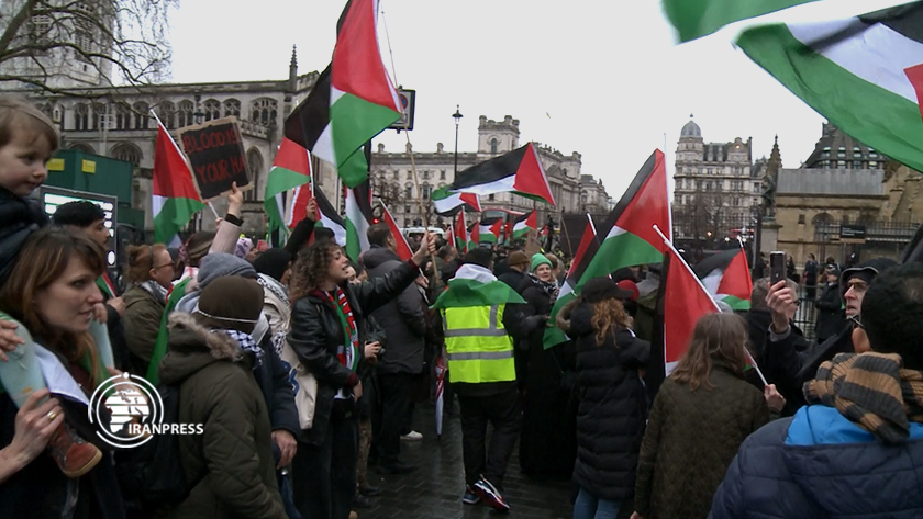 Palestinian supporters rally in front of British Parliament