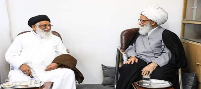 Ayatollah Syed Riyaz Najafi visits Grand Ayatollah Bashir Najafi in Najaf