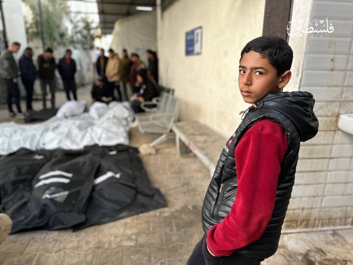التعليم الفلسطينية: استشهاد 5424 طالبا فلسطينيا منذ 7 أكتوبر