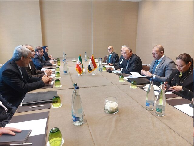 Egyptian FM: Tehran, Cairo united in supporting Palestinian issue