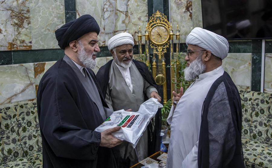 السيد الصافي يحثّ أتباع أهل البيت (ع) في باكستان على إقامة علاقات حسنة مع الطوائف الأخرى + صور 