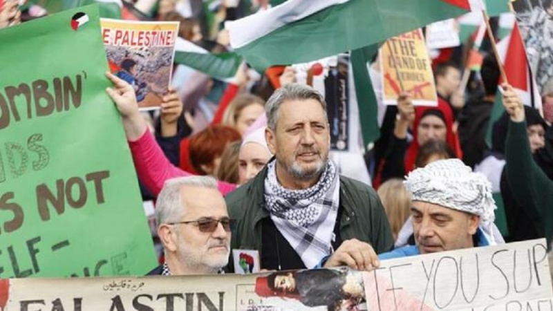 Демонстрации в Тунисе, Нидерландах и Южной Африке в поддержку Палестины