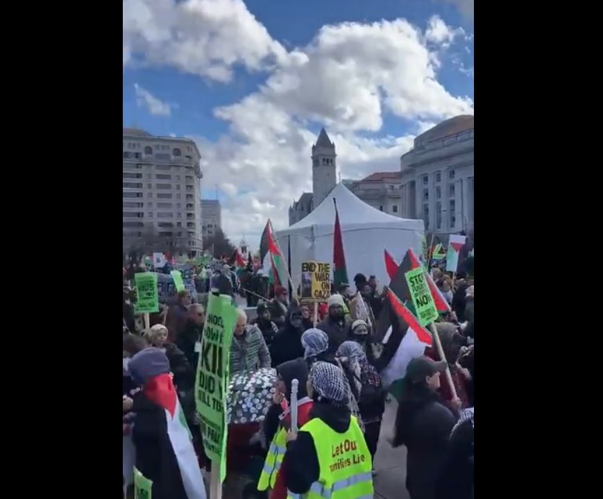 Video: Thousands gather in Washington, D.C. in support of Gaza 