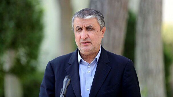 Israeli regime behind most conflicts in region: Iranian official
