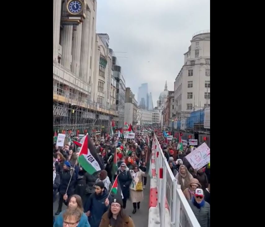 Video: Tens of thousands demonstrated in London in support of Palestine 