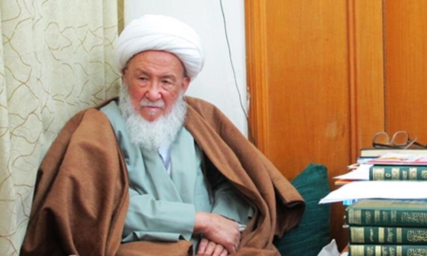 Iraqi Shia scholar: Late Ayatollah Najafi provided valuable services in Pakistan