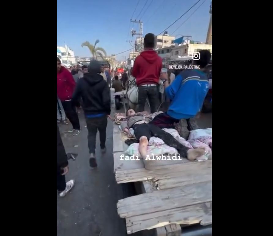 Video: Residents in Gaza evacuating injured using animal carts 