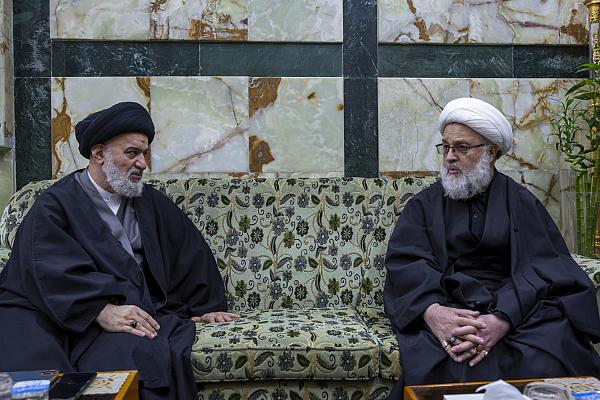 السيد الصافي: أهمية توسيع دائرة البحث العلمي في مجال الفكر الإسلامي وسيرة النبي وآله