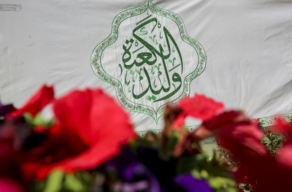   تزيين حرم أمير المؤمنين (ع) بأكثر من 25 ألف وردة طبيعية وشتلة خضراء + صور